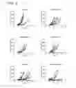 Fig. 10 - Binding molecules specific for CD73 and uses thereof