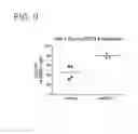 Fig. 13 - Binding molecules specific for CD73 and uses thereof