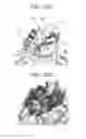 Fig. 37 - Binding molecules specific for CD73 and uses thereof