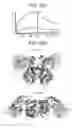 Fig. 40 - Binding molecules specific for CD73 and uses thereof