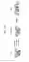 Fig. 44 - Binding molecules specific for CD73 and uses thereof