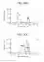Fig. 50 - Binding molecules specific for CD73 and uses thereof