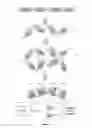 Fig. 02 - Bispecific CD33 and CD3 binding proteins