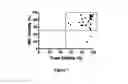 Fig. 07 - Bispecific CD33 and CD3 binding proteins