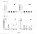 Fig. 17 - Bispecific CD33 and CD3 binding proteins