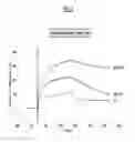 Fig. 08 - Binding agent