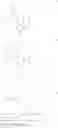 Fig. 08 - Conjugated polymers