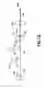 Fig. 15 - Graphene-augmented composite materials