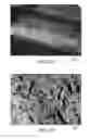 Fig. 06 - NANOCOMPOSITES CONTAINING LAYERED NANOPARTICLES AND DISPERSANT, COMPOSITES, ARTICLES, AND METHODS OF MAKING SAME