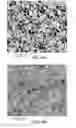 Fig. 07 - Nanocomposites containing nonspherical silica nanoparticles, composites, articles, and methods of making same
