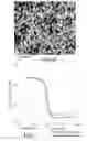Fig. 08 - Nanocomposites containing nonspherical silica nanoparticles, composites, articles, and methods of making same