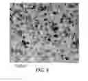 Fig. 09 - Nanocomposites containing nonspherical silica nanoparticles, composites, articles, and methods of making same