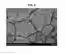 Fig. 10 - ALUMINUM-RESIN COMPOSITE AND METHOD FOR PRODUCING THE SAME