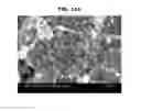 Fig. 12 - ALUMINUM-RESIN COMPOSITE AND METHOD FOR PRODUCING THE SAME