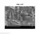 Fig. 14 - ALUMINUM-RESIN COMPOSITE AND METHOD FOR PRODUCING THE SAME