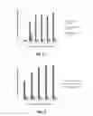 Fig. 05 - Method for removing bitumen to enhance formation permeability