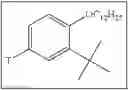 Fig. 21 - Tritylated alkyl aryl ethers