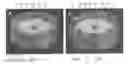 Fig. 01 - Perfusion bioreactor