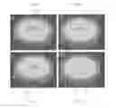 Fig. 07 - Perfusion bioreactor
