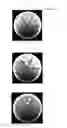 Fig. 04 - CULTURING METHOD FOR BACTERIA BELONGING TO GENUS COLLIMONAS AND STORAGE METHOD