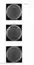 Fig. 05 - CULTURING METHOD FOR BACTERIA BELONGING TO GENUS COLLIMONAS AND STORAGE METHOD