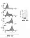 Fig. 04 - Compositions and methods for epithelial stem cell expansion and culture