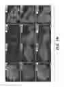 Fig. 18 - Compositions and methods for epithelial stem cell expansion and culture