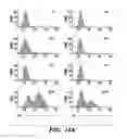 Fig. 31 - Compositions and methods for epithelial stem cell expansion and culture