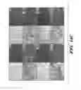 Fig. 33 - Compositions and methods for epithelial stem cell expansion and culture