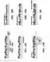 Fig. 37 - Compositions and methods for epithelial stem cell expansion and culture