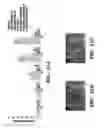 Fig. 40 - Compositions and methods for epithelial stem cell expansion and culture