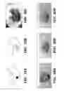 Fig. 42 - Compositions and methods for epithelial stem cell expansion and culture