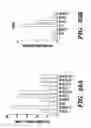 Fig. 44 - Compositions and methods for epithelial stem cell expansion and culture