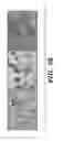 Fig. 45 - Compositions and methods for epithelial stem cell expansion and culture