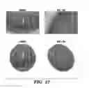 Fig. 46 - Compositions and methods for epithelial stem cell expansion and culture