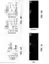 Fig. 04 - Methods for Inducing Cardiomyogenesis
