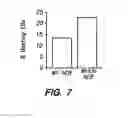 Fig. 08 - Methods for Inducing Cardiomyogenesis
