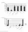 Fig. 02 - Simplified basic media for human pluripotent cell culture