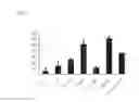 Fig. 14 - Simplified basic media for human pluripotent cell culture