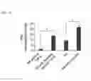 Fig. 17 - Simplified basic media for human pluripotent cell culture