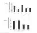 Fig. 18 - Simplified basic media for human pluripotent cell culture