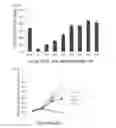 Fig. 20 - Simplified basic media for human pluripotent cell culture