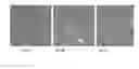 Fig. 05 - Compositions and methods for inhibiting gene expressions