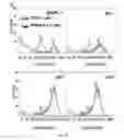 Fig. 04 - Anaplastic Lymphoma Kinase (ALK) As An Oncogene Capable Of Transforming Normal Human Cells