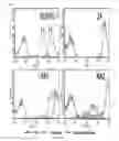 Fig. 10 - Anaplastic Lymphoma Kinase (ALK) As An Oncogene Capable Of Transforming Normal Human Cells