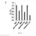 Fig. 11 - Anaplastic Lymphoma Kinase (ALK) As An Oncogene Capable Of Transforming Normal Human Cells