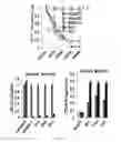 Fig. 13 - Anaplastic Lymphoma Kinase (ALK) As An Oncogene Capable Of Transforming Normal Human Cells