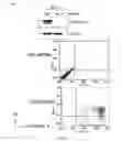 Fig. 25 - Anaplastic Lymphoma Kinase (ALK) As An Oncogene Capable Of Transforming Normal Human Cells