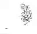 Fig. 02 - Method for making mutated pullulanase enzyme, mutated pullulanase enzyme, and microorganism expressing the same