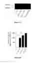 Fig. 07 - Mutated tissue plasminogen activators and uses thereof